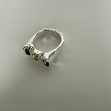 The One Ring